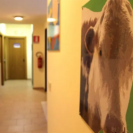 Guest house Giulia Pisa